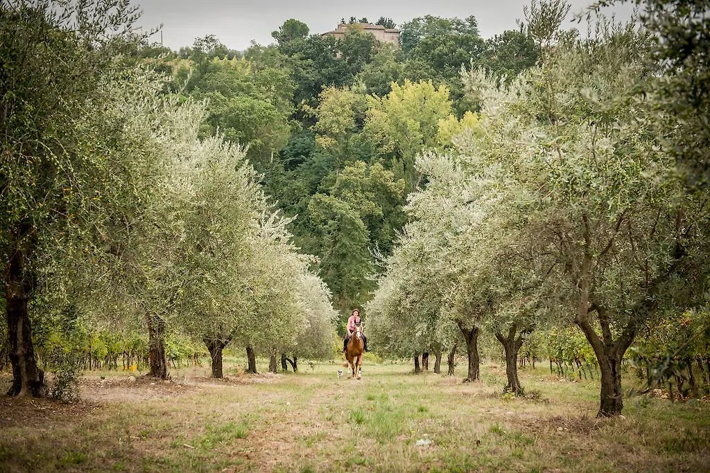Salvadonica Villa San Casciano in Val di Pesa Farm stay